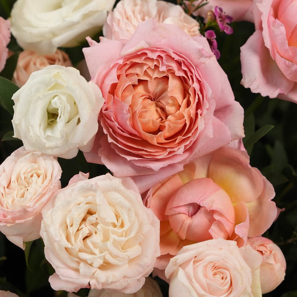 Mother’s Day flower arrangement with Juliet spray roses and white lisianthus in TWIGS green round flower box