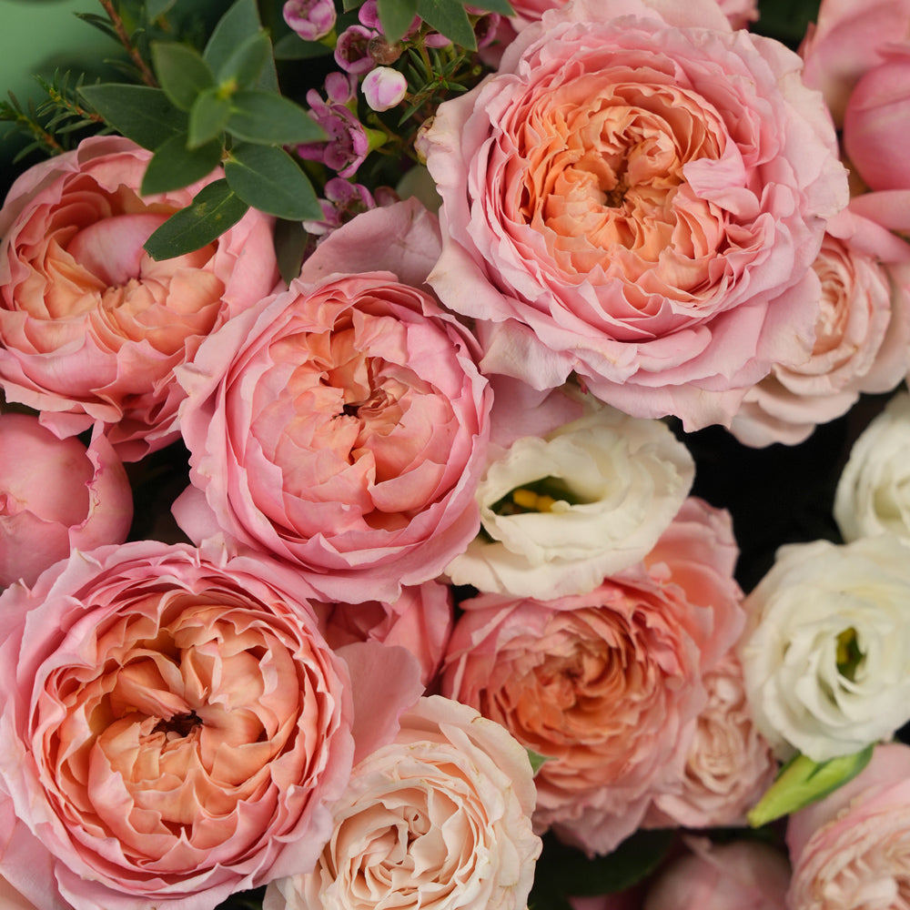 Blushing Bloom Mother’s Day flower arrangement with Juliet spray roses and white lisianthus in TWIGS signature flower bag