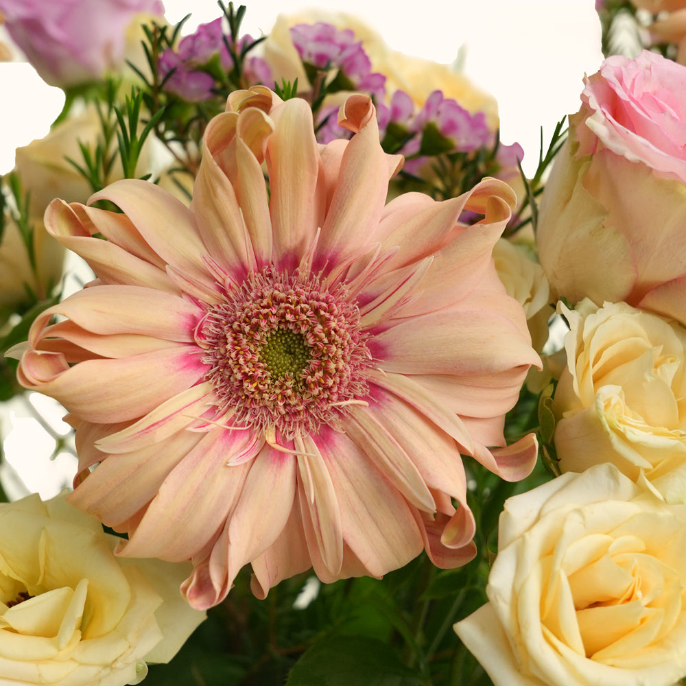 Peach Harmony – Deluxe Flower Arrangement in TWIGS Round Box
