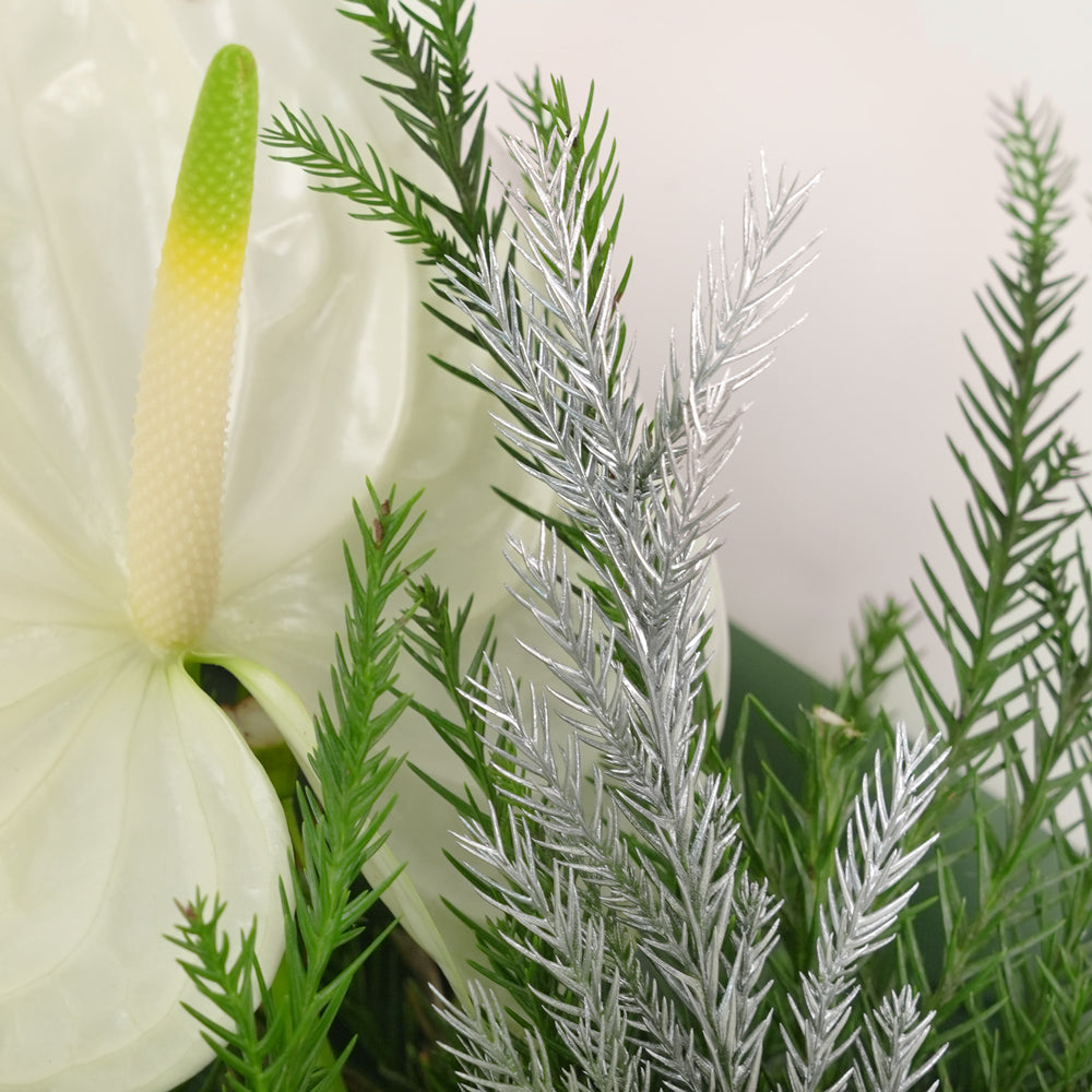 anthurium bouquet dubai White Anthurium & Chrysanthemum New Year Bouquet| Dubai Flower Delivery – TWIGS