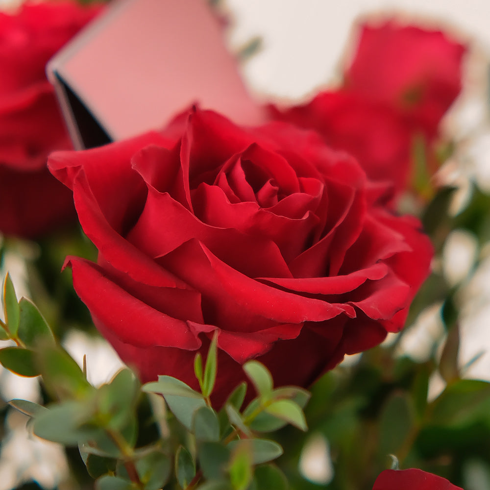 Everred Roses Ever After – Elegant Red Roses Gift Box | Valentine’s Flower Delivery ...