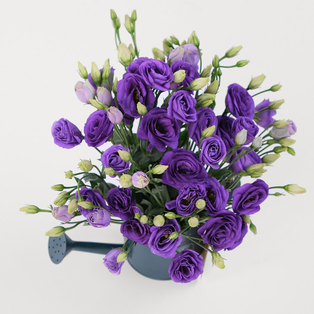 Lisianthus Purple Flowers Twigs-it Can