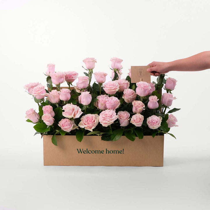Pink Special Rose Flowers Garden Box