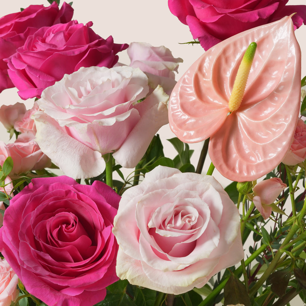 Blush anthurium and pink rose grande round flower box by TWIGS Abu Dhabi