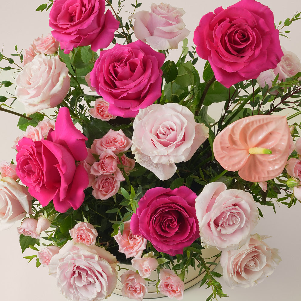 Blush anthurium and pink rose grande round flower box by TWIGS Abu Dhabi