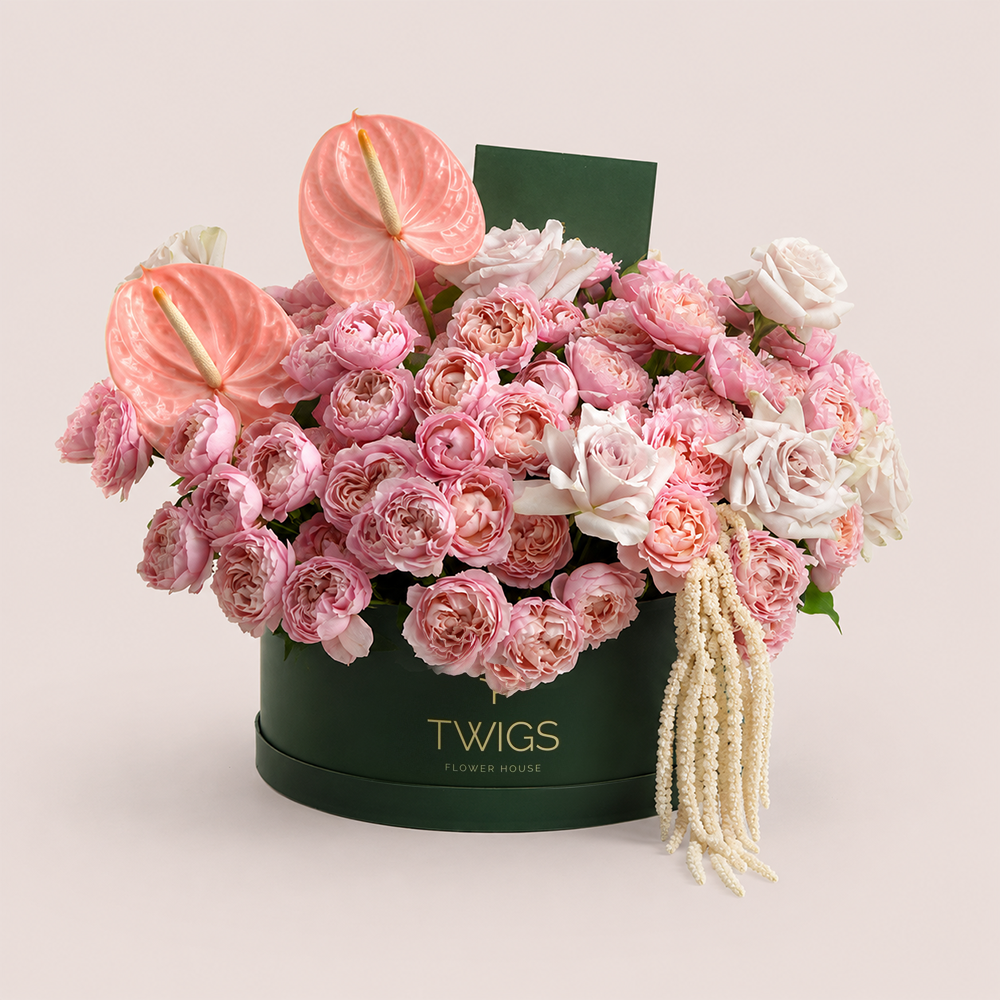 Blush Birthday Rose · Grande Round Flower Box - Thuraya ثريا