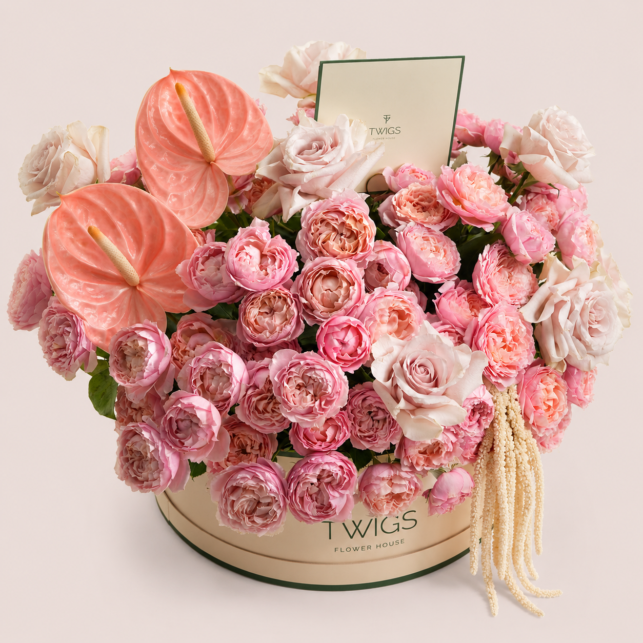 Blush Birthday Rose · Grande Round Flower Box - Thuraya ثريا