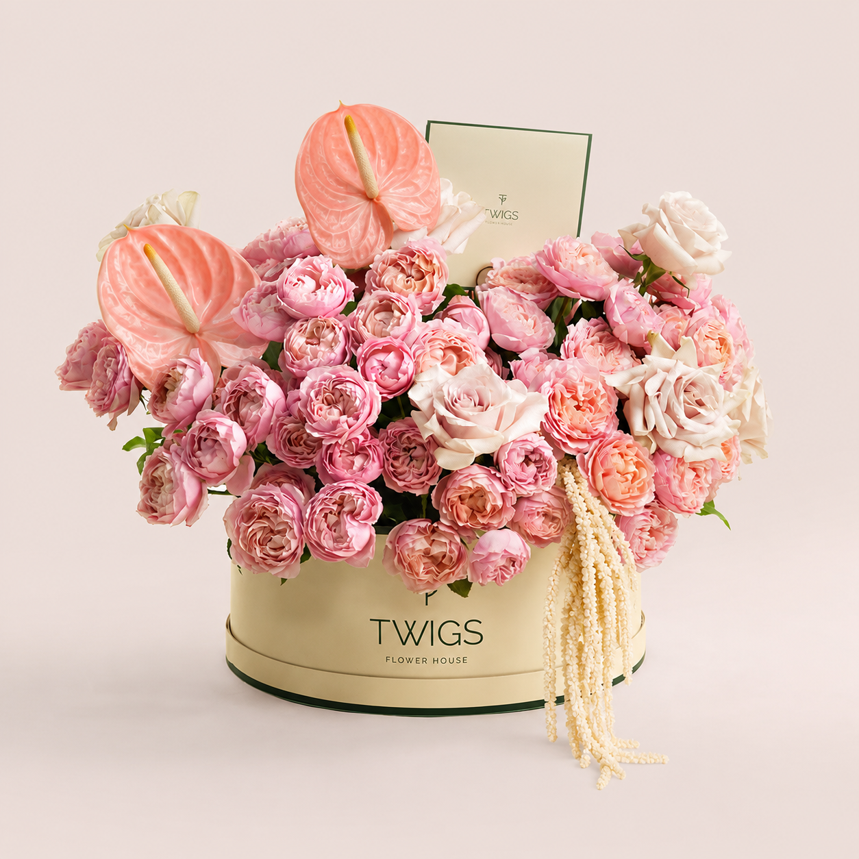 Blush Birthday Rose · Grande Round Flower Box - Thuraya ثريا