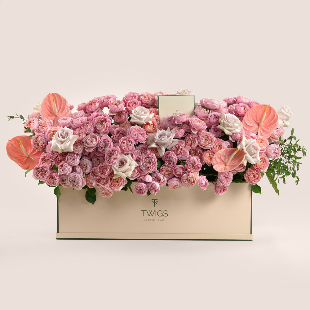 Wide blush and pink garden rose arrangement in TWIGS beige garden box — same-day Eid flower delivery UAE