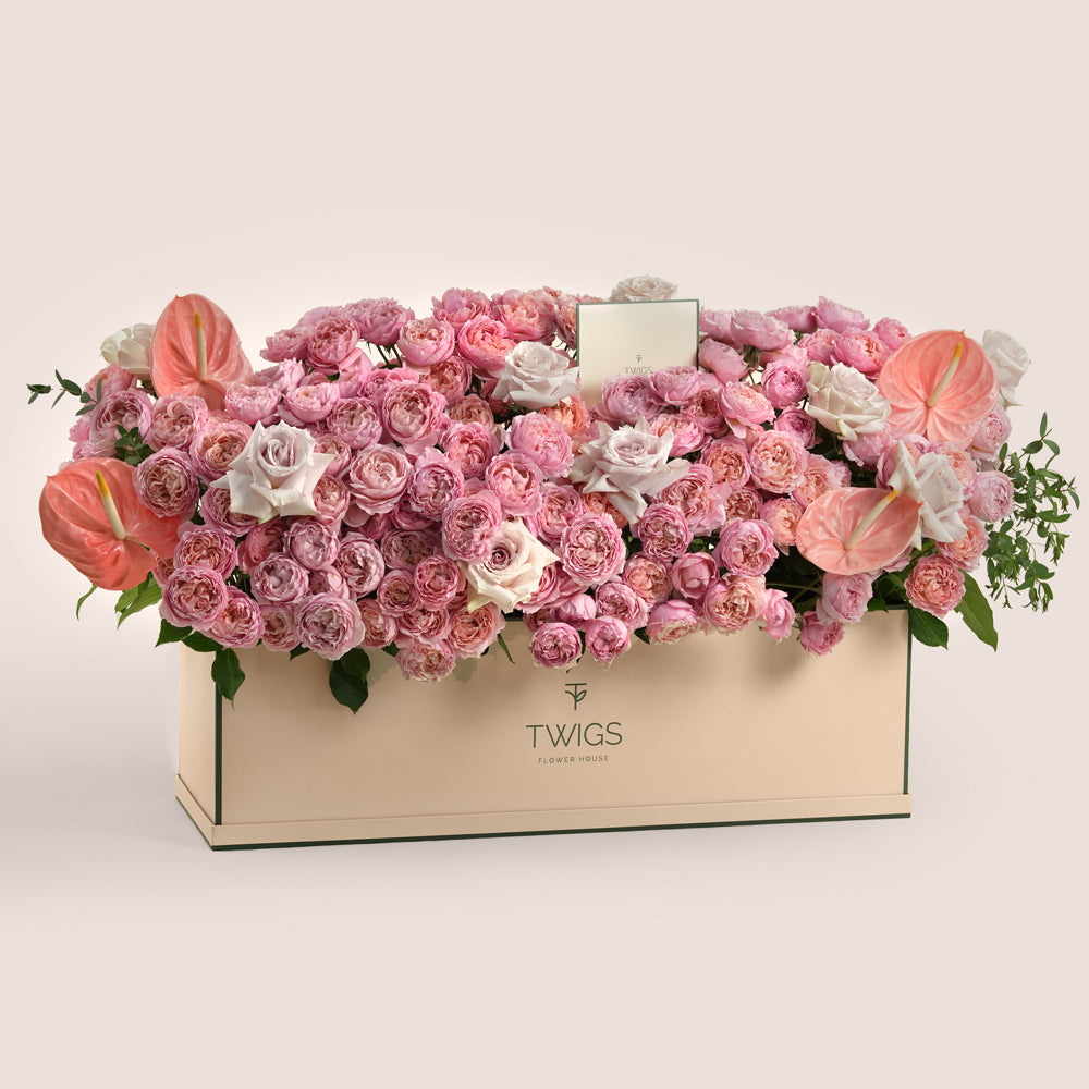Wide blush and pink garden rose arrangement in TWIGS beige garden box — same-day Eid flower delivery UAE