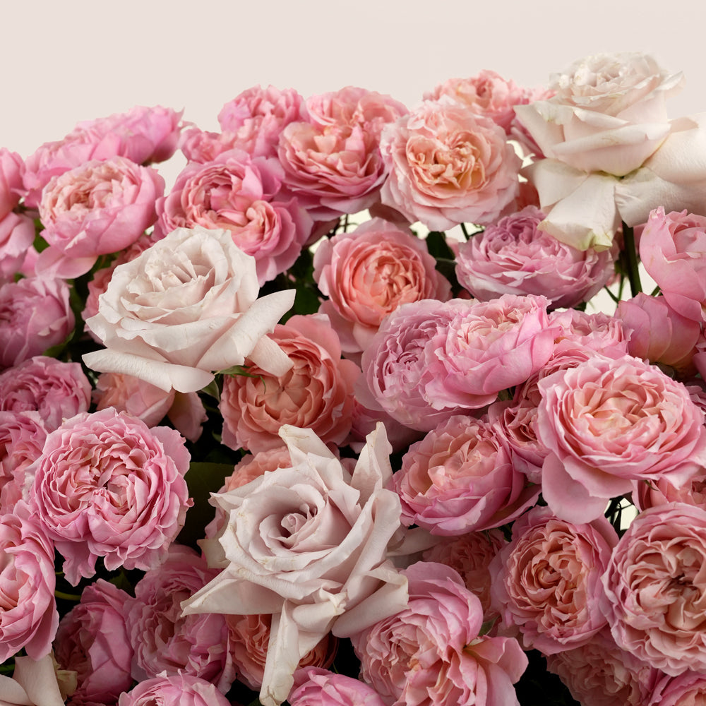 Thuraya Garden ثريا Garden Box · Juliet Spray Roses, Quicksand Garden Roses & Peach Anthuriums · Eid Al Adha Dubai