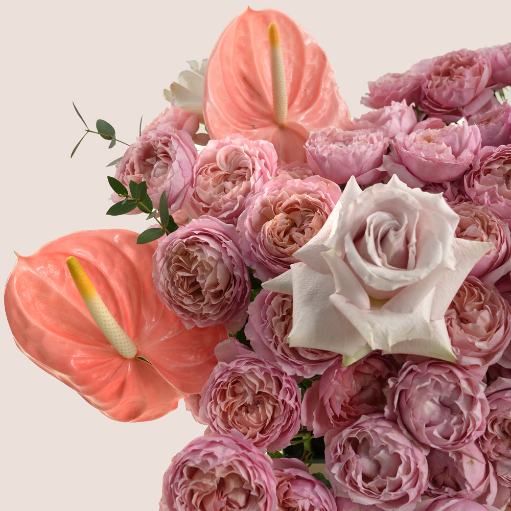 Thuraya Garden ثريا Garden Box · Juliet Spray Roses, Quicksand Garden Roses & Peach Anthuriums · Eid Al Adha Dubai