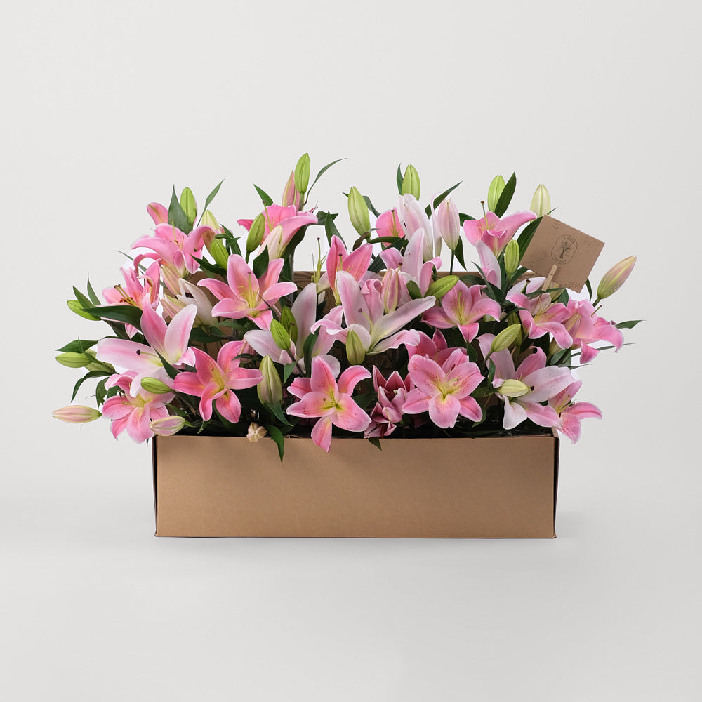 Lilies Pink Flowers Garden Box