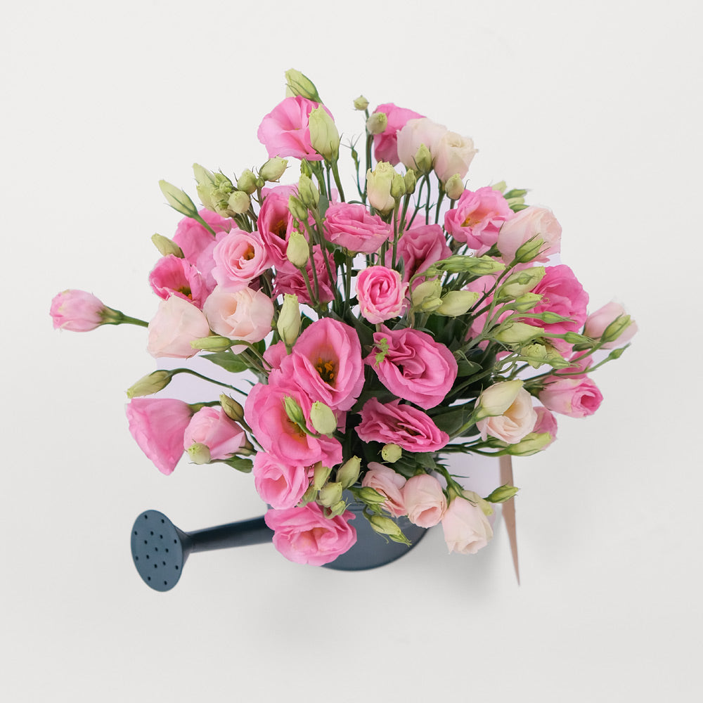 Lisianthus Pink Flowers Twigs-it Can