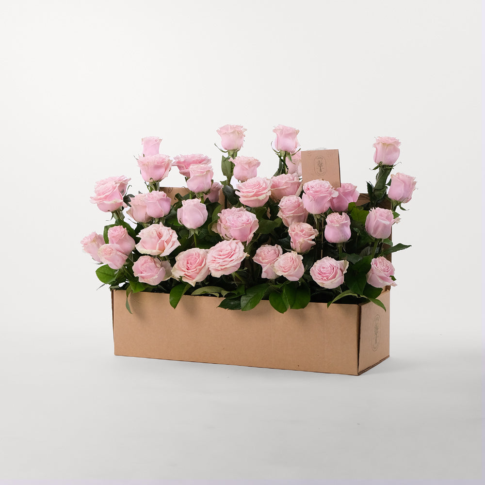Pink Special Rose Flowers Garden Box