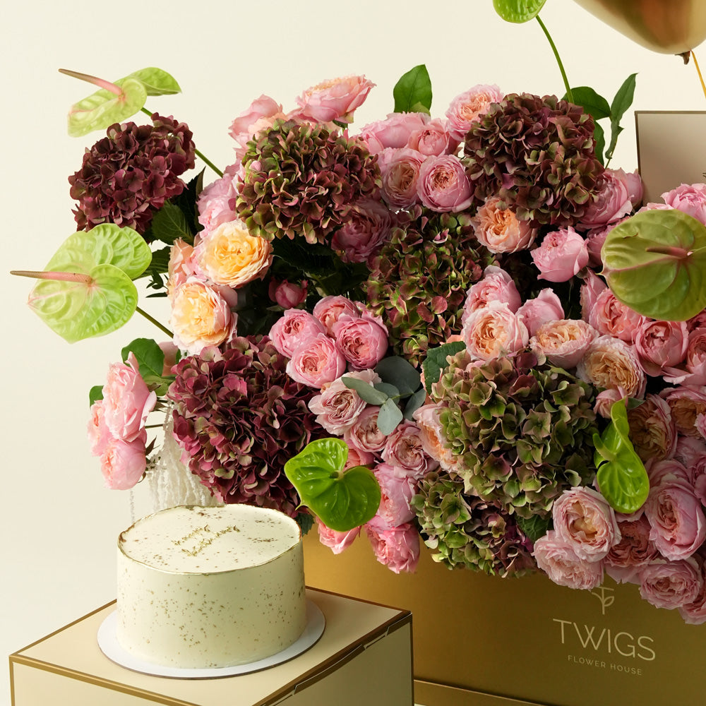 Isadora Celebration, a luxury TWIGS Gold Garden box arrangement of pink and burgundy hydrangeas, garden roses, and green anthurium leaves, paired with a 1kg cake and six gold chrome balloons.