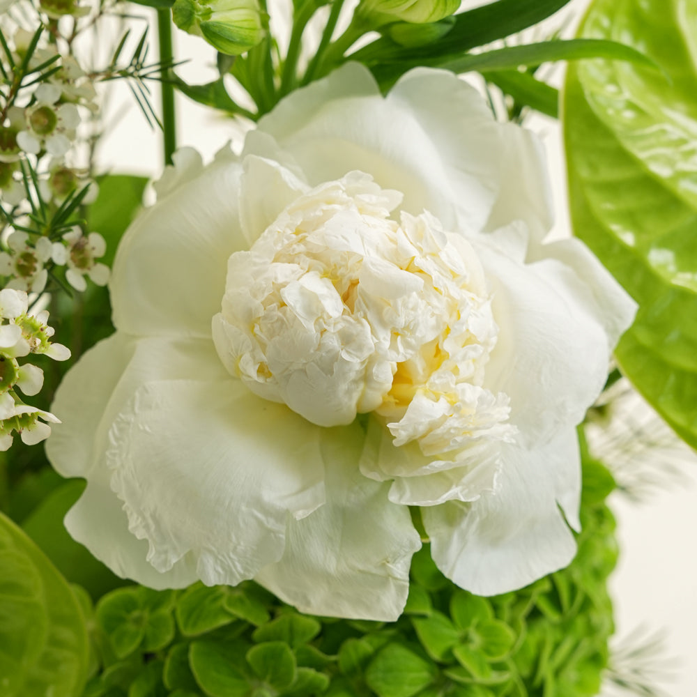 Rif ريف Green & White Botanical Ceramic Vase Arrangement · Dubai