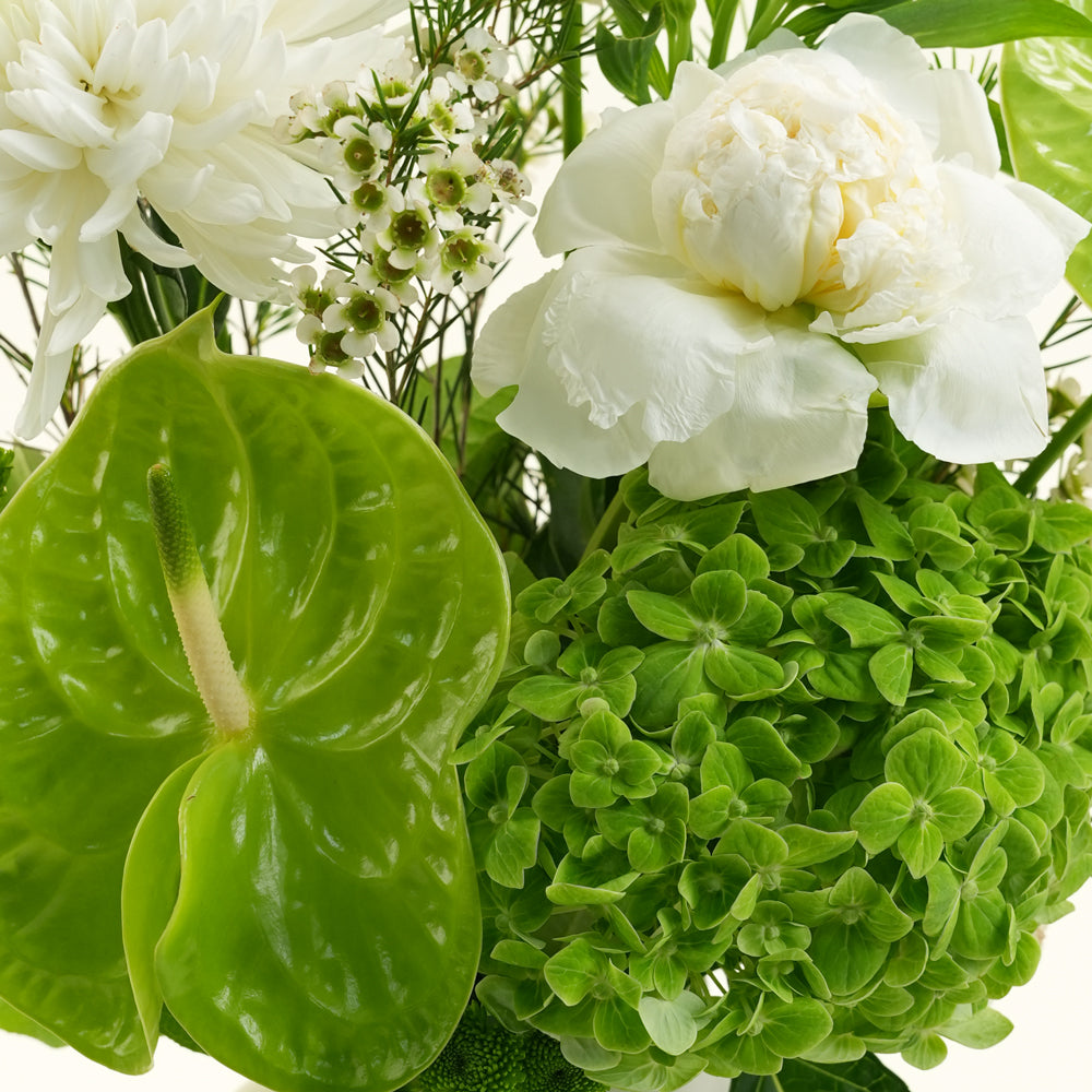 Rif ريف Green & White Botanical Ceramic Vase Arrangement · Dubai