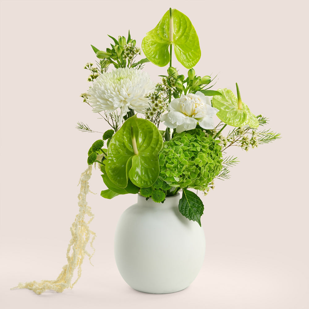 Green anthurium, white chrysanthemum and hydrangea botanical arrangement in TWIGS white ceramic vase — Eid Al Adha flower delivery Dubai