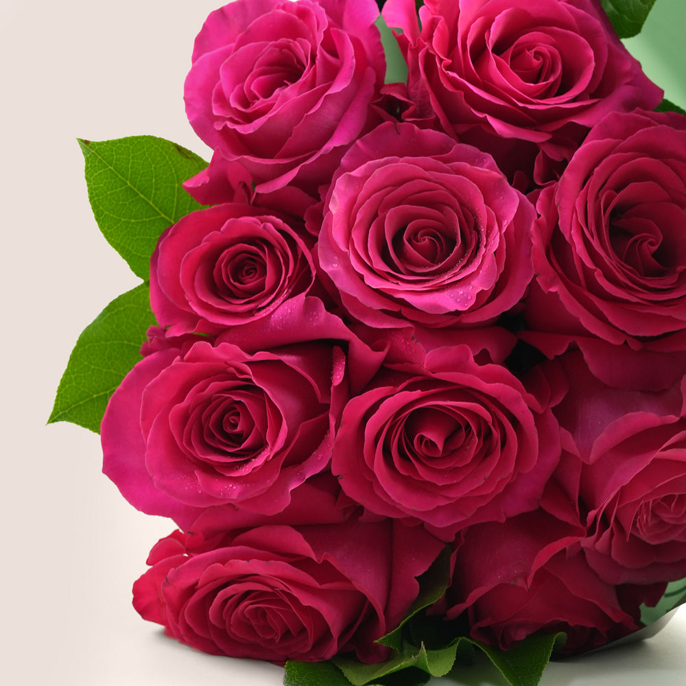 Pink Floyd Ecuador Roses Bouquet | Luxury Fuchsia Rose Hand Bouquet