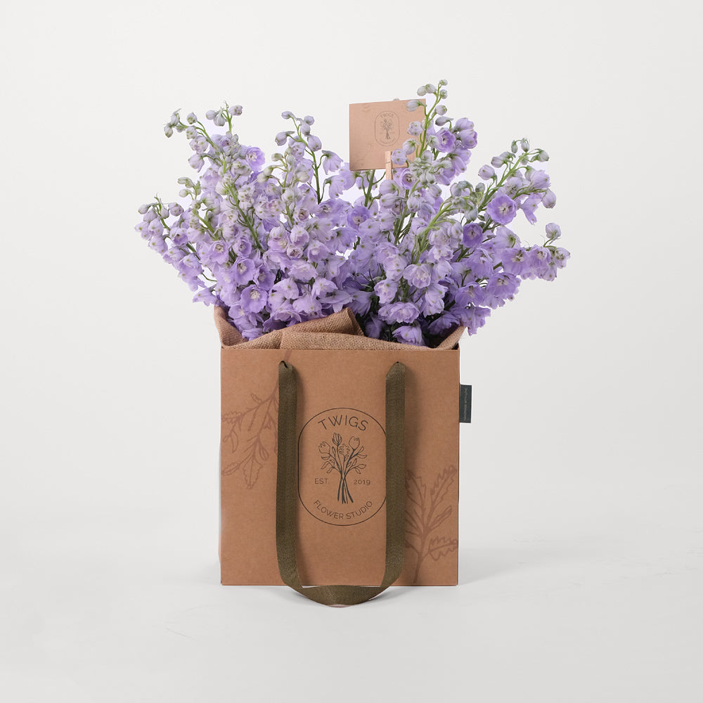 Delphinium Purple Flowers Bouquet In A Bag