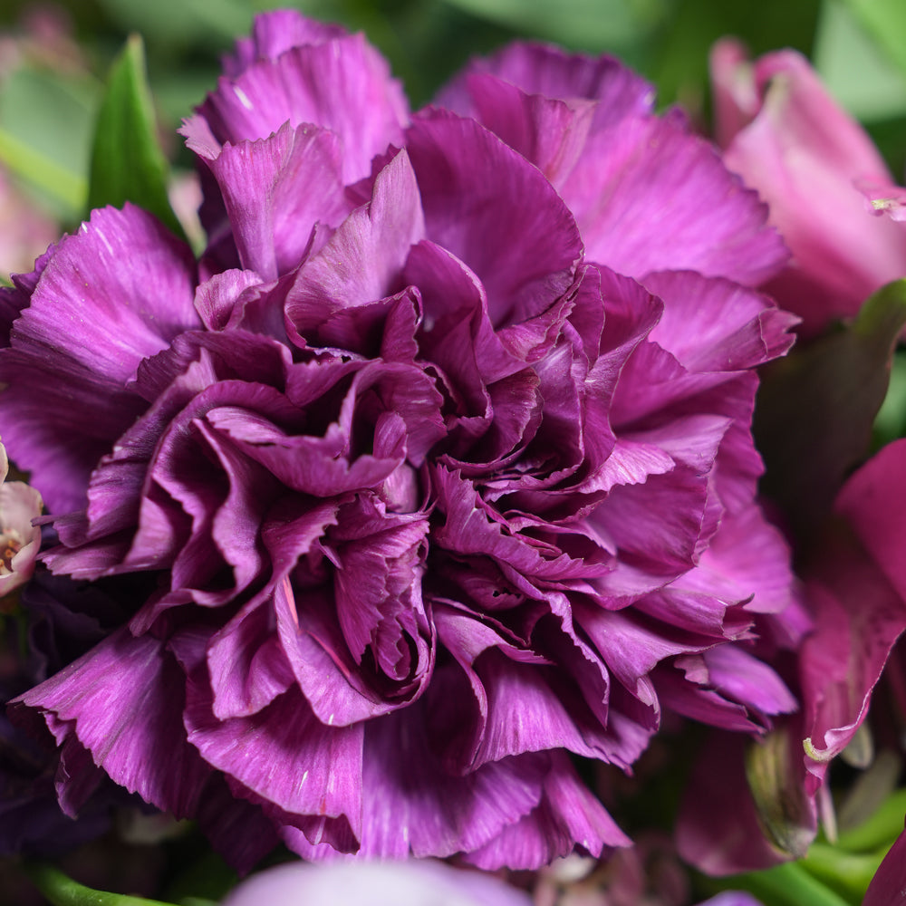 Purple Dreams Bunch - Hand Bouquet | Mixed Purple Flower Bouquet Dubai & UAE