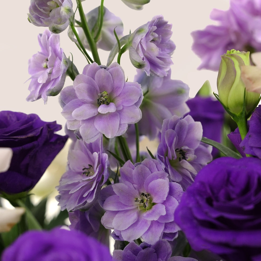 Subtle Bloom – Quicksand & Violet Birthday Flowers Square Box