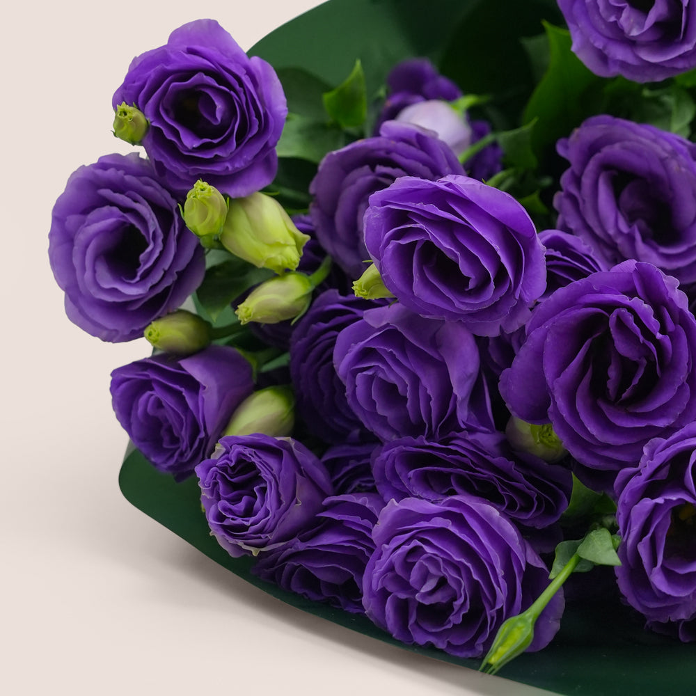 Premium Birthday party cake and flowers bundle 