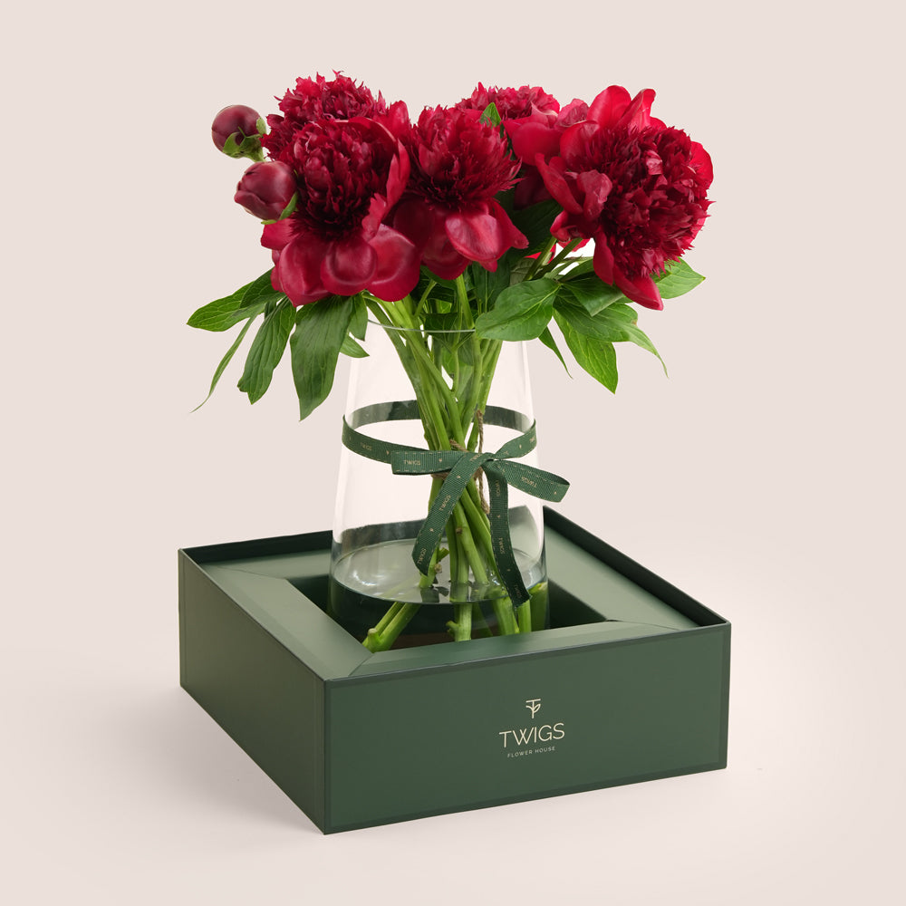 Layl ليل Burgundy Peony Vase Arrangement · Tall Glass Vase