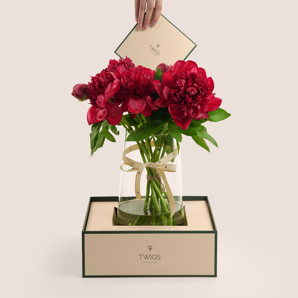 Layl ليل Burgundy Peony Vase Arrangement · Tall Glass Vase