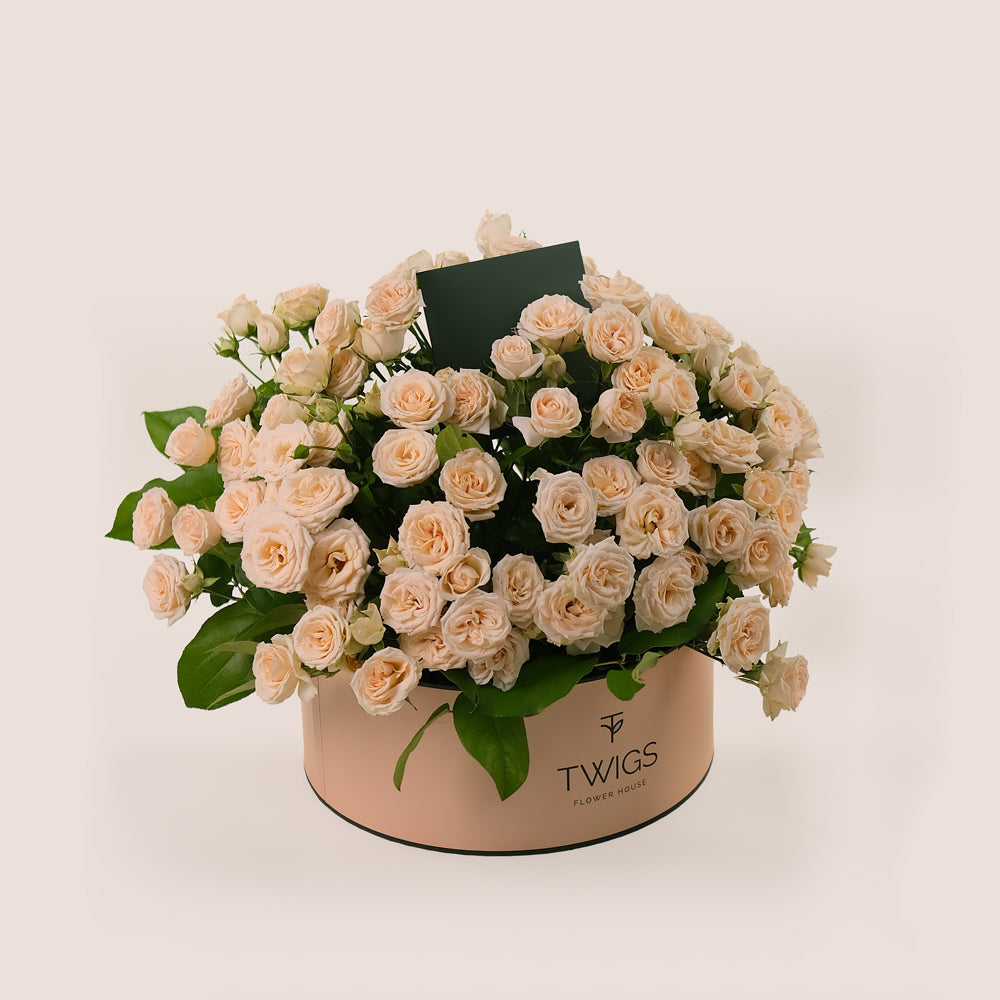 Grande Salinero Spray Roses Round Box– Timeless Beauty in Soft Cream Shade