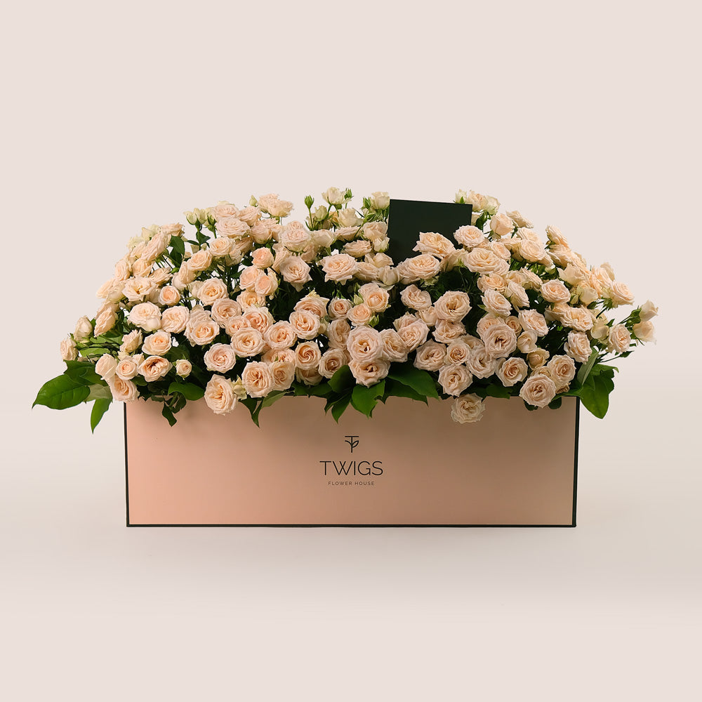 Salinero Spray Roses in Garden Box – A Generous Display of Cream Elegance