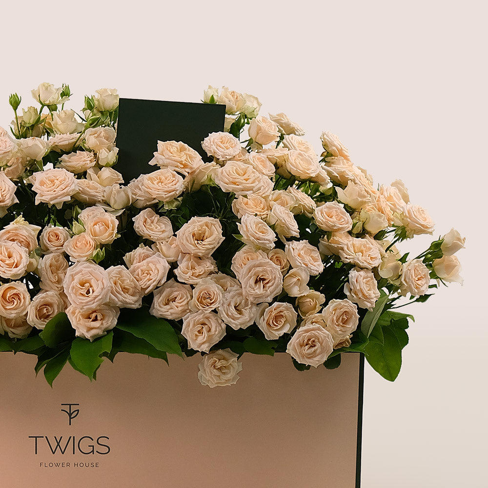 Salinero Spray Roses in Garden Box – A Generous Display of Cream Elegance