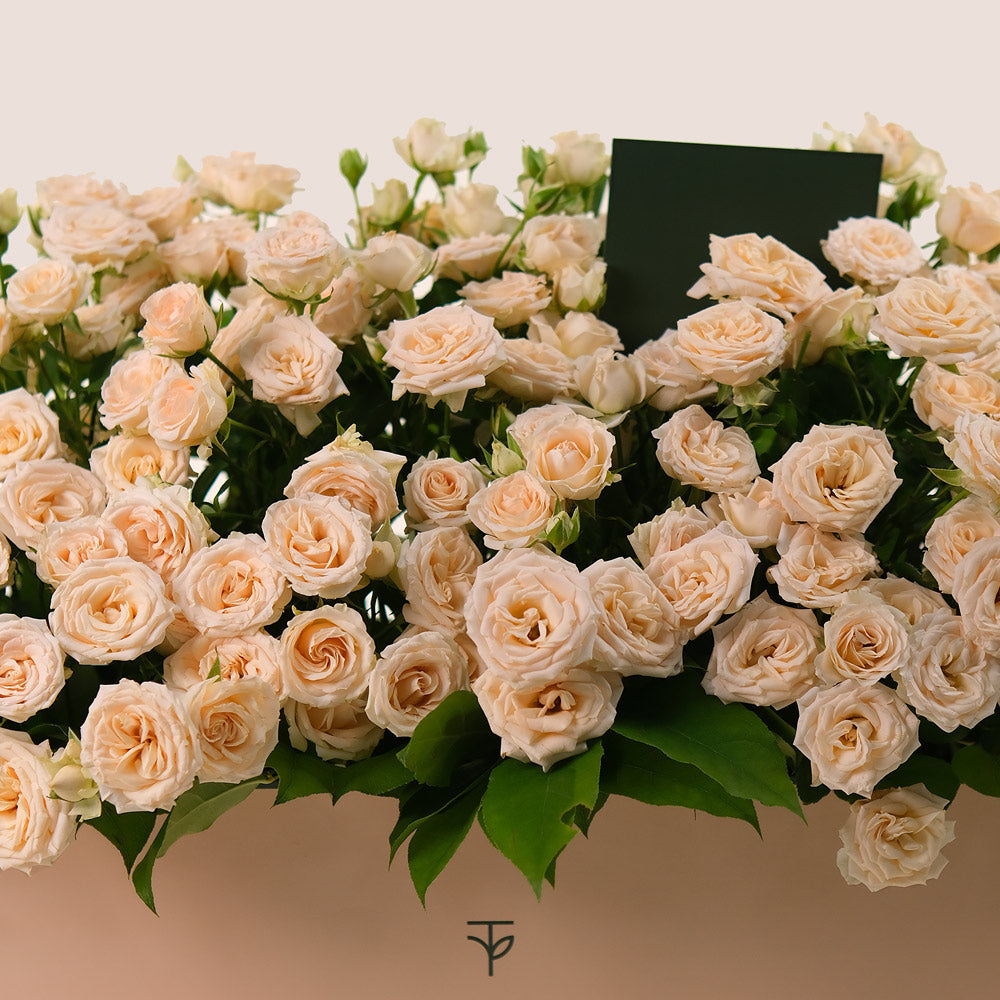 Salinero Spray Roses in Garden Box – A Generous Display of Cream Elegance