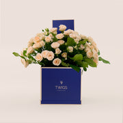 Soft Cream Roses in Signature Flower Box – A Refined and Unique Gift of Subtle Elegance
