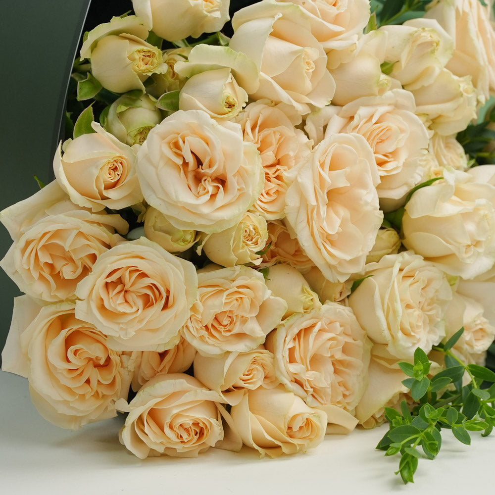 Classic Salinero Charm - All Salinero Roses Bouquet | Fresh Cream Rose Hand Bouquet Dubai & UAE