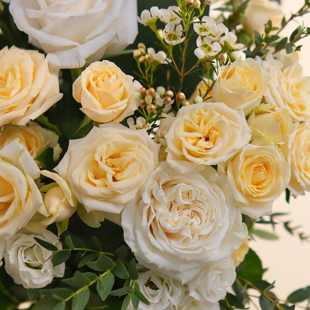 TWIGS Flowers in box