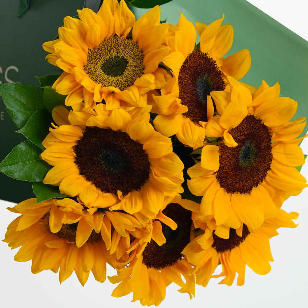 The Sunshine Bunch - Sunflower Bouquet | Cheerful Flowers Dubai & UAE