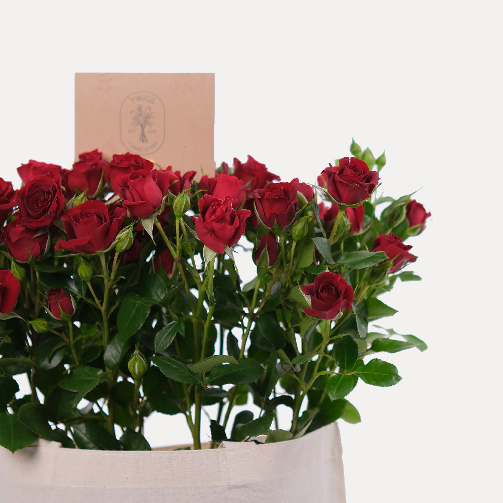 Red Spray Roses in a Reusable Canvas Tote – Classic Romance with a Modern Twist