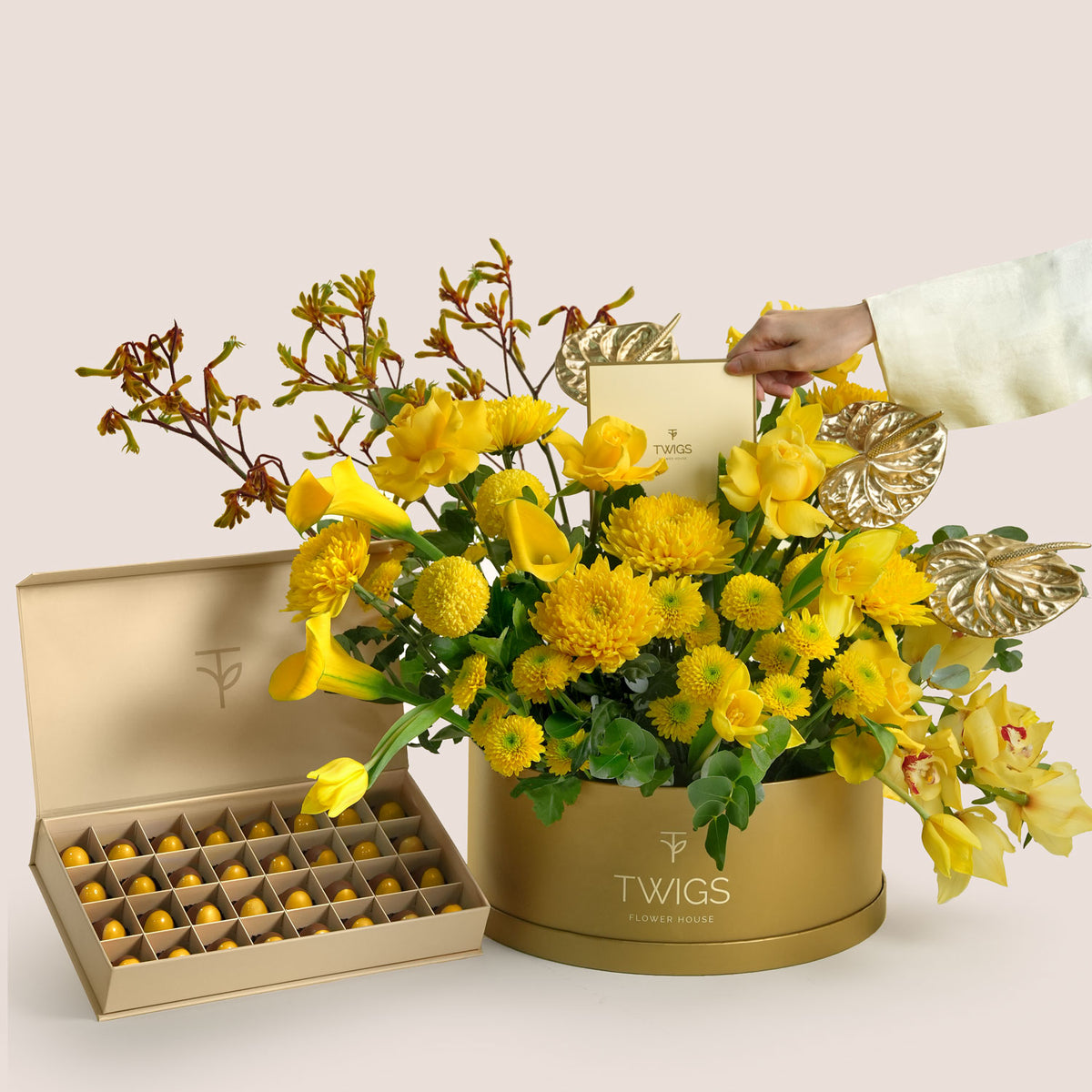 TWIGS Gold Flower Grande with Chocolate -Solara Pairing