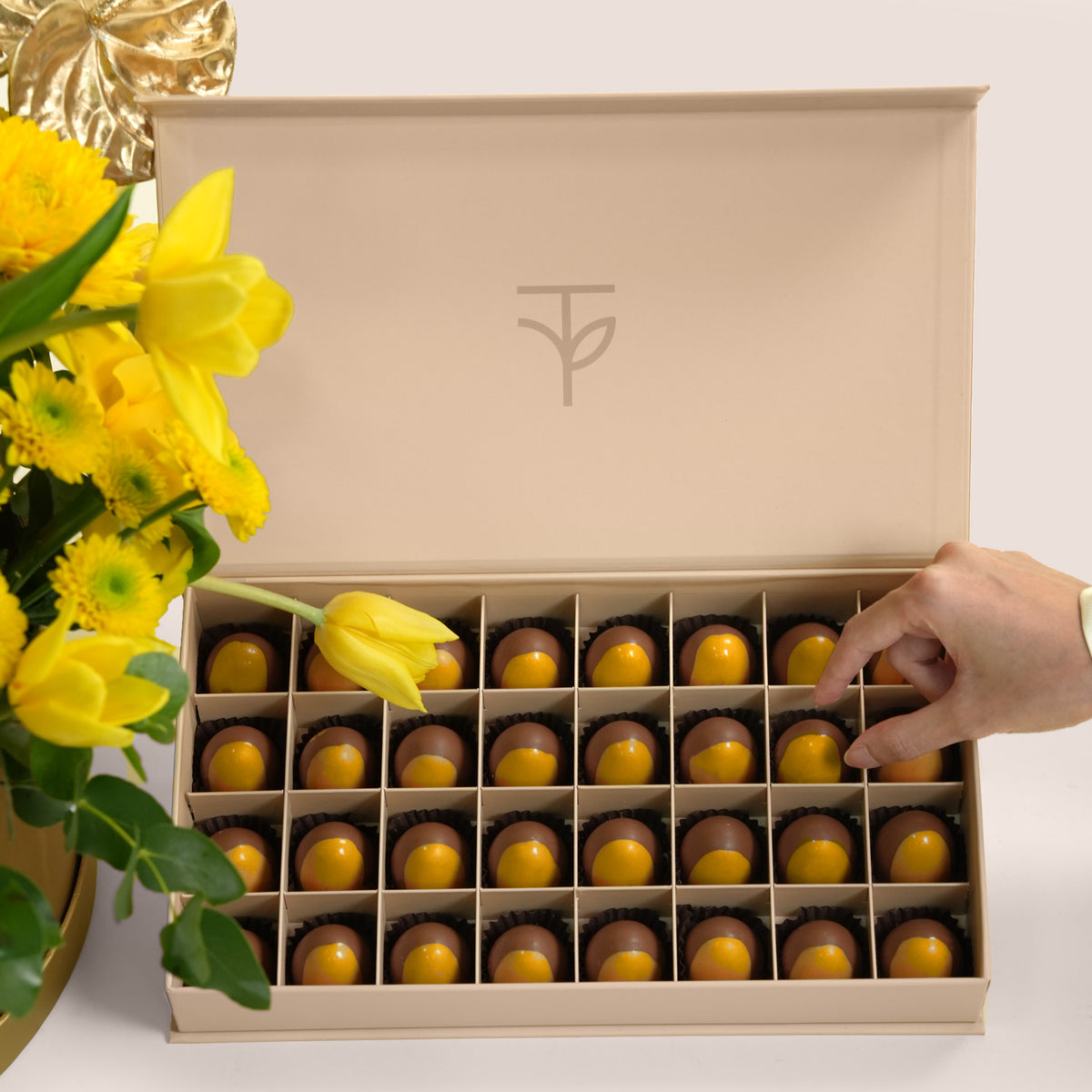 TWIGS Gold Flower Grande with Chocolate -Solara Pairing