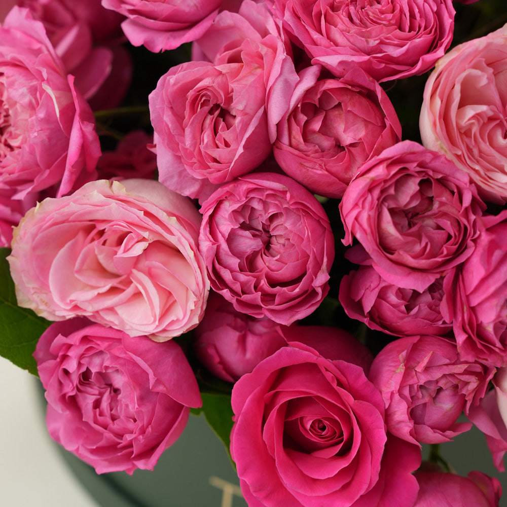 Bold Romance – Fuchsia Rose Grande Round Flower Box