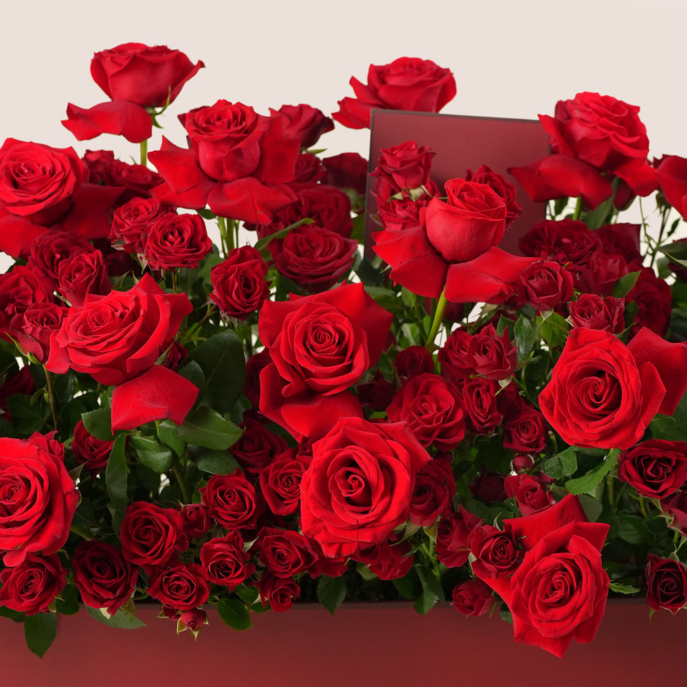 Luxury Red Roses Garden Box with Balloons & Chocolates – Valentine’s Day Flower Delivery in UAE