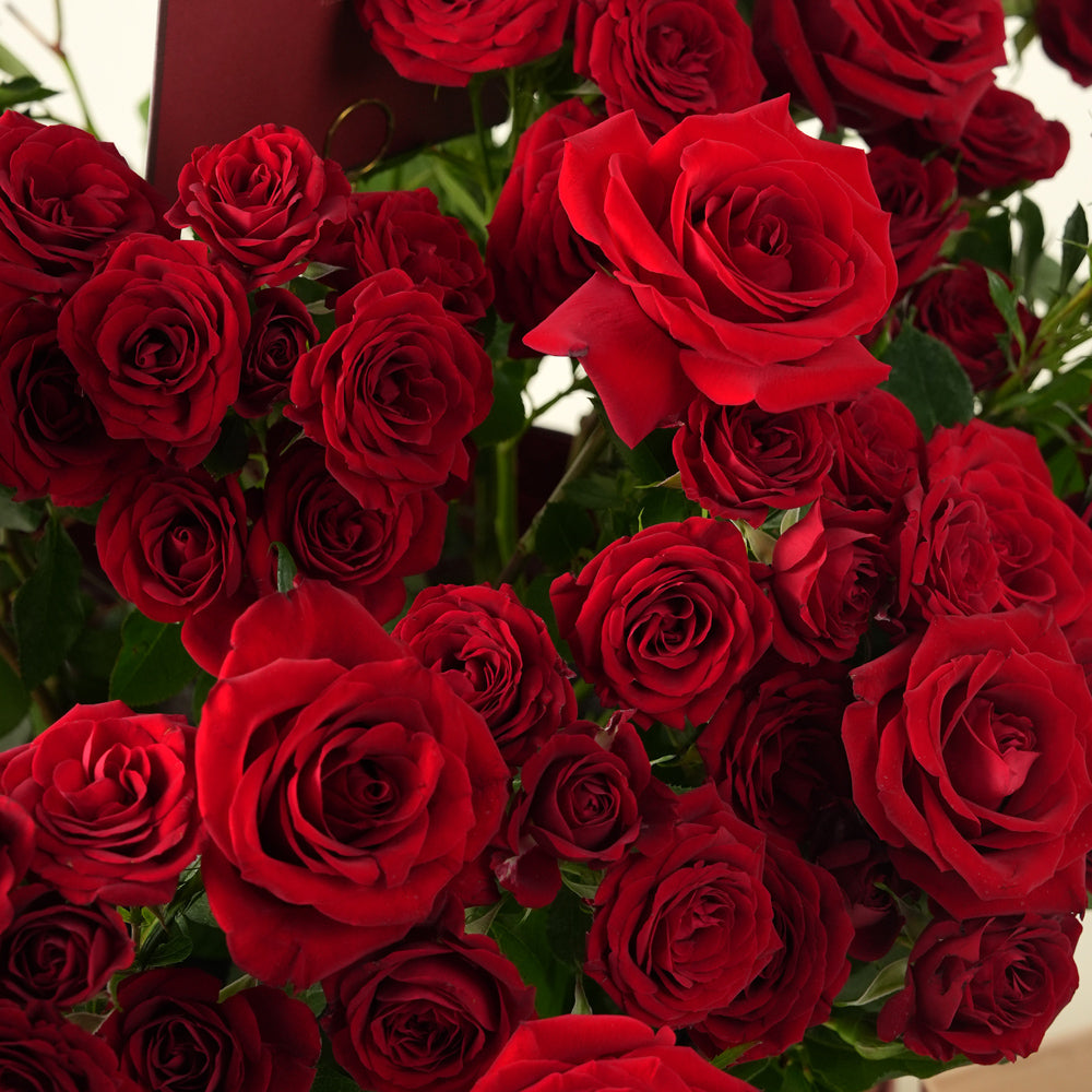 Premium Red Roses Grande Round Box – Valentine’s Day Flower Delivery in UAE