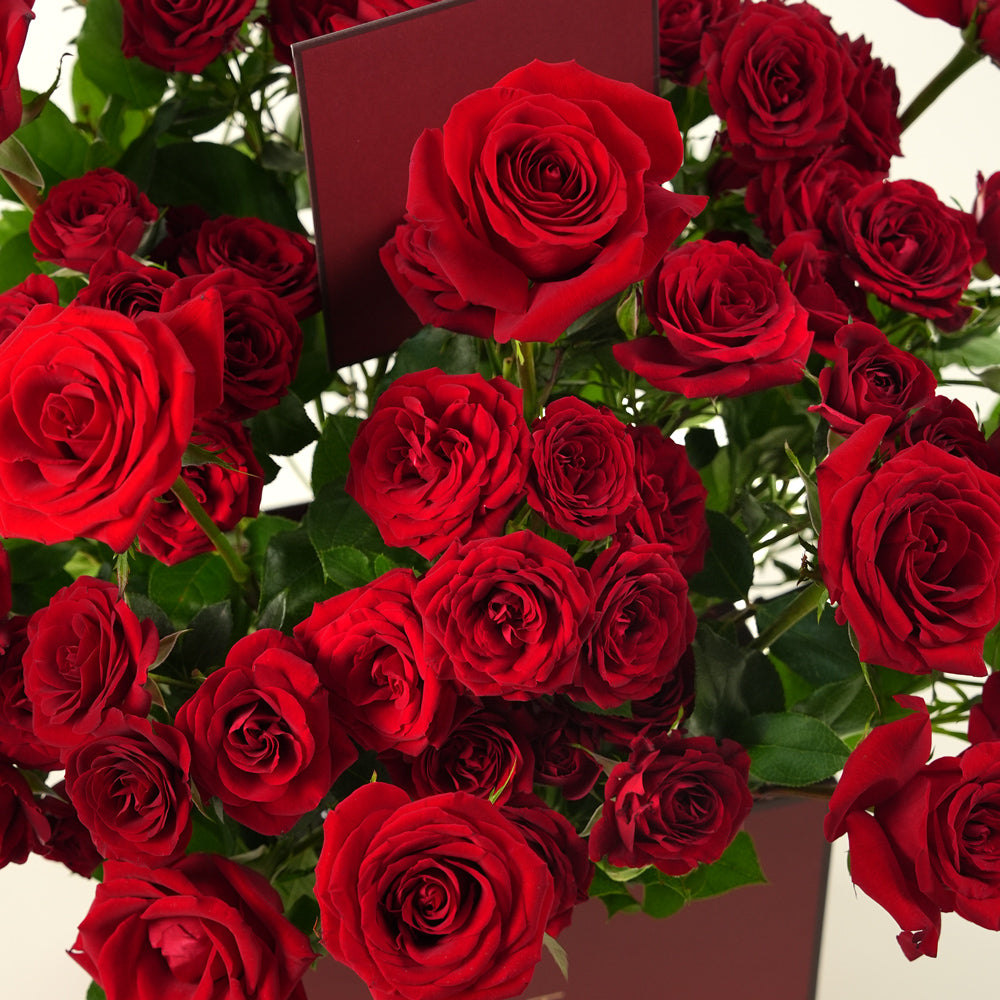 Crimson Elegance Square Rose Box – Luxury Red Ecuador & Spray Roses in Burgundy Box UAE