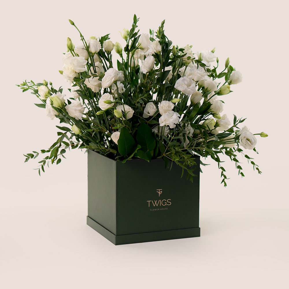 Pure Essence – White Lisianthus in TWIGS Signature Box - A Sophisticated Display of Elegance