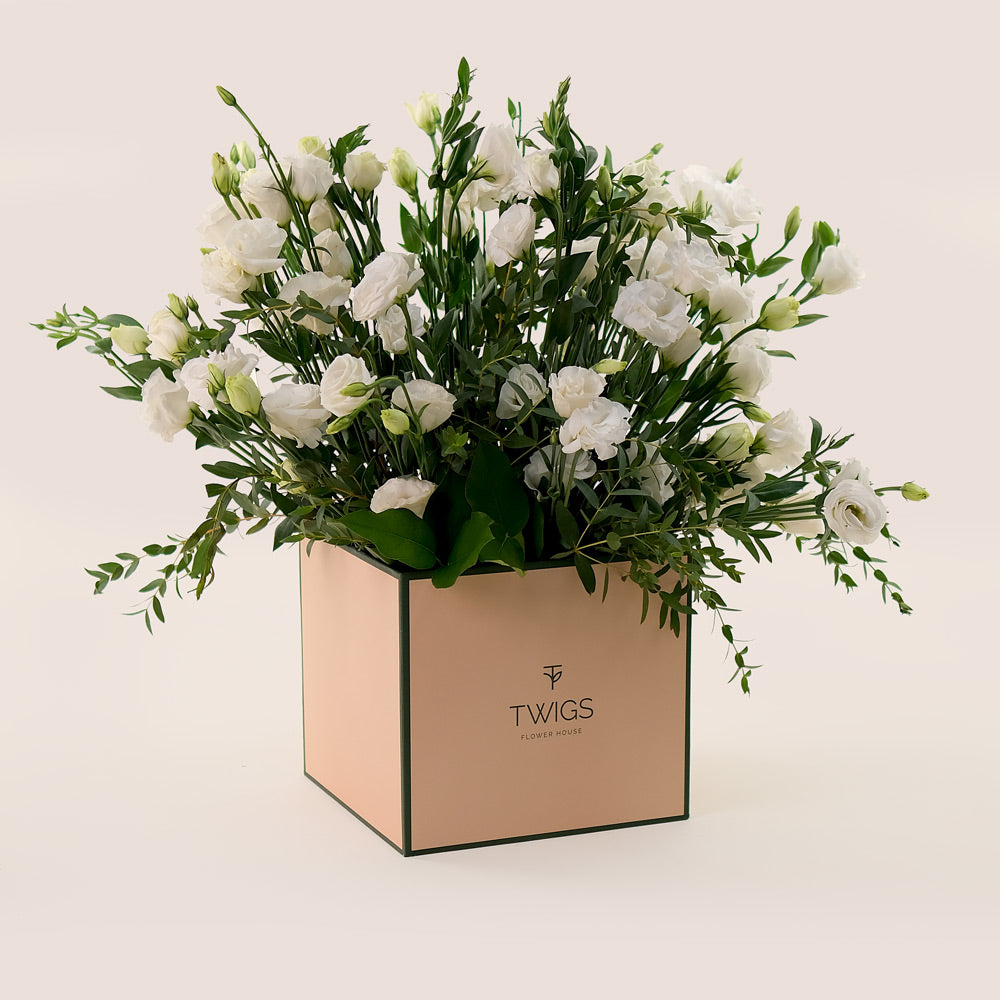 Pure Essence – White Lisianthus in TWIGS Signature Box - A Sophisticated Display of Elegance