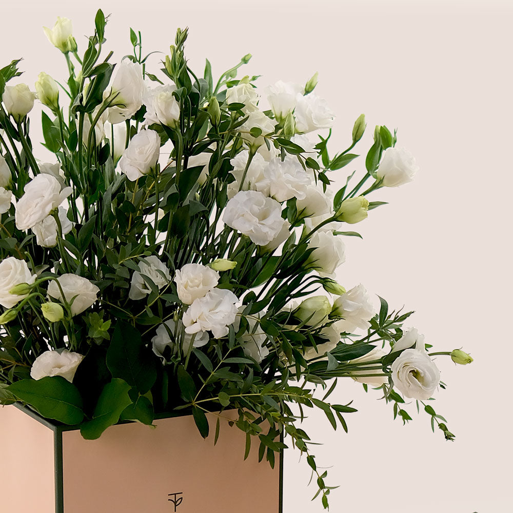 Pure Essence – White Lisianthus in TWIGS Signature Box - A Sophisticated Display of Elegance