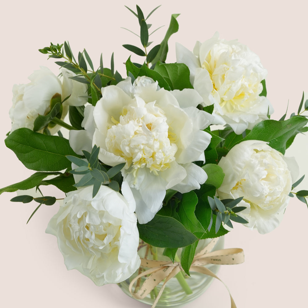 Ivory White Peonies in a Vase – Signature Carry Box by TWIGS