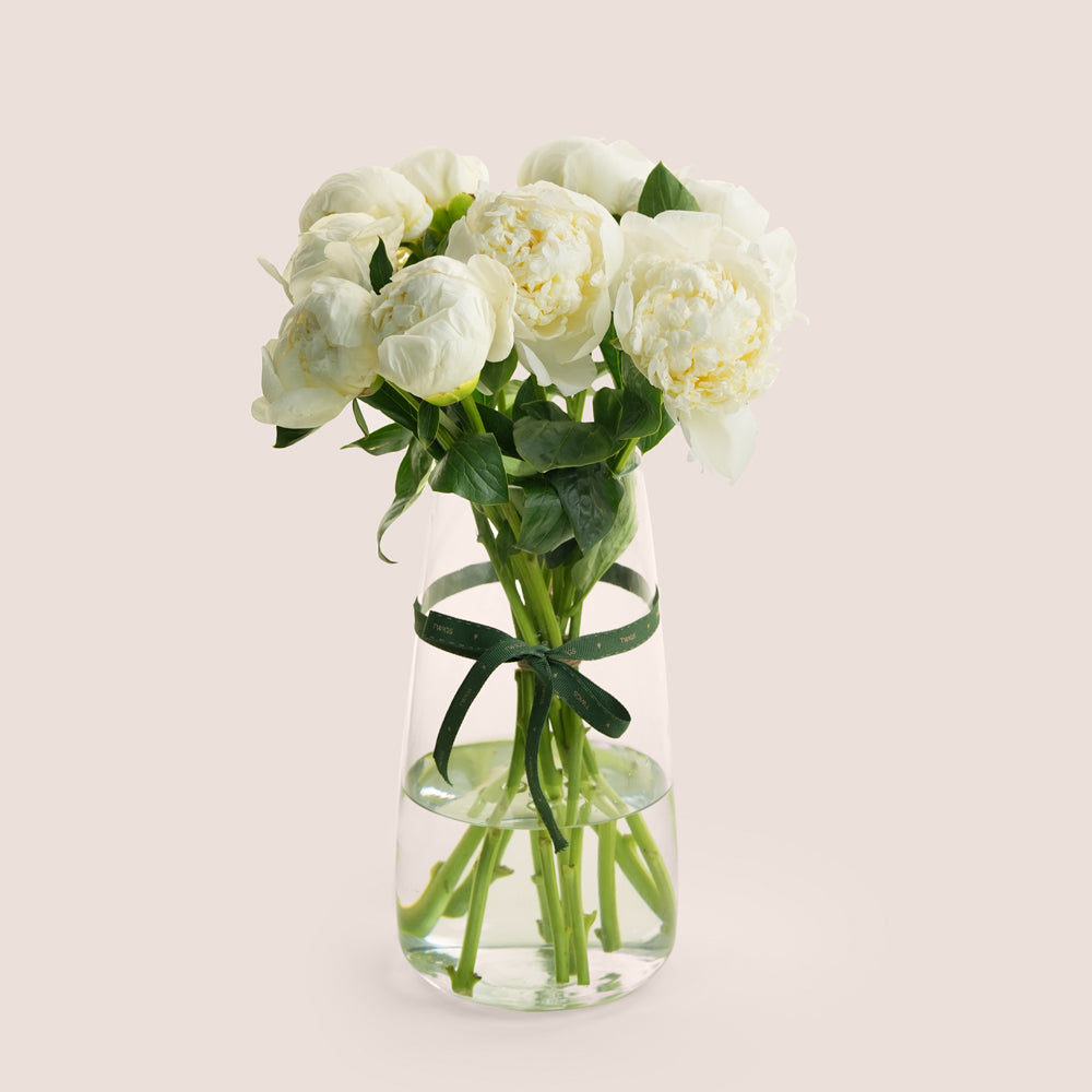 Noor نور White Peony Vase Arrangement · Tall Glass Vase